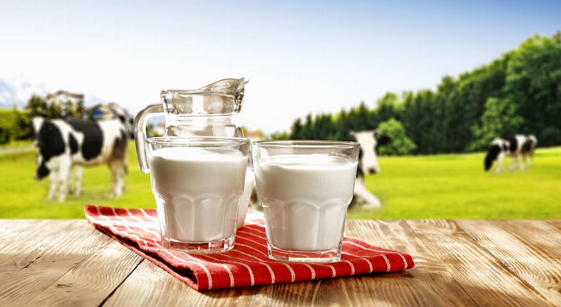 Milk facility jobs