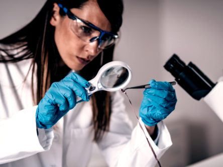 CSI: How to be a forensic scientist in 5 easy(ish) steps