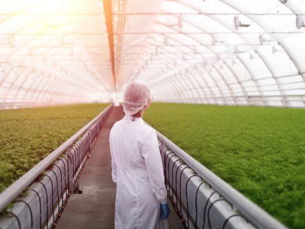 Plant the seeds now to scale up Ireland’s biotech ambition