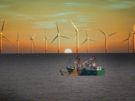 ESB plans to build giant multibillion-euro offshore wind farms in Irish Sea