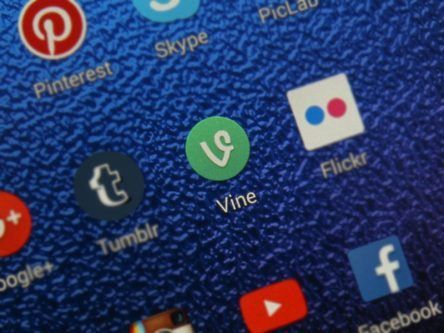Vine: Gone but far from forgotten as archive goes live