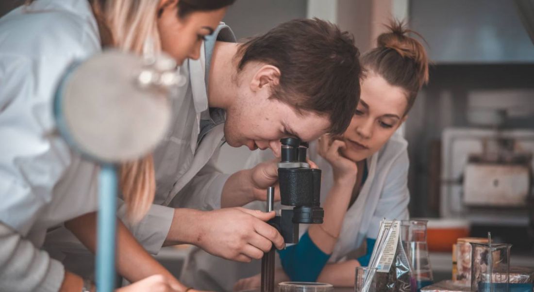 Students who entered STEM career