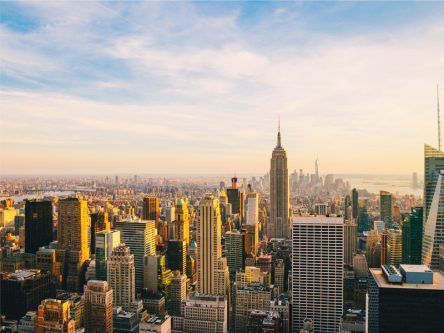 An Irish start-up in New York: Gecko Governance sizes up a new market