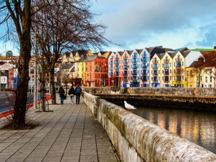 Zevas to create 50 new digital media jobs in Cork city