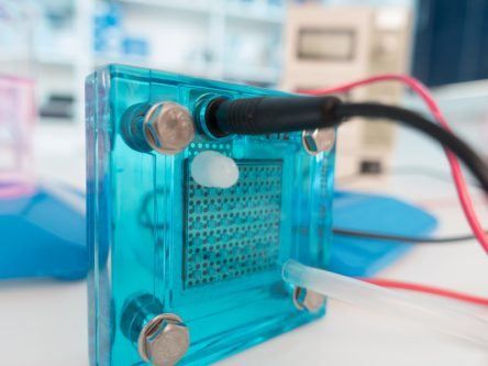 New ‘wonder’ device could power homes and cars with clean hydrogen