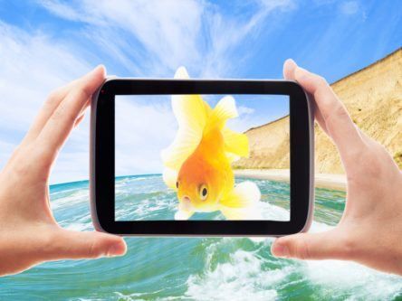 Catch the Babelfish: Irish telco devises a new kind of cloud phone