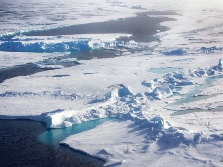 Living bacteria found in polar ice has major implications for alien life search