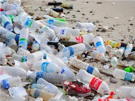 Mutant enzyme that eats plastic bottles could help end global crisis