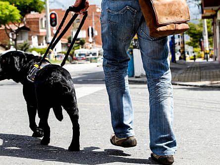 How will Google’s new Lookout app help blind and visually impaired users?