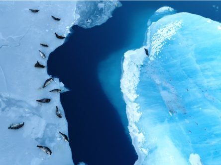 Experts predict two possible futures for Antarctica after massive ice loss