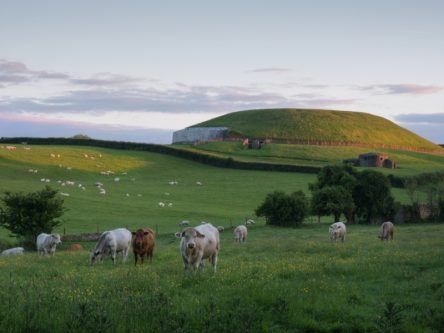 Ghostly shadows of hidden structures near Newgrange revealed by heatwave