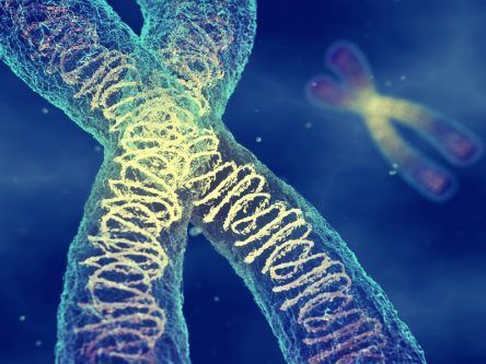 Genetics gets weird as animal’s appearance mutated using CRISPR