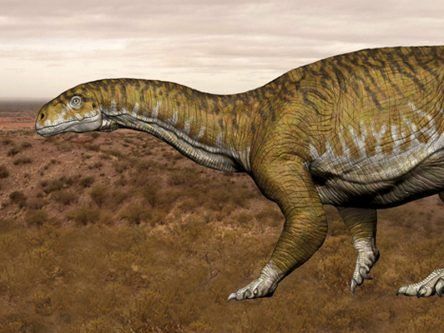 Fossil of 10-tonne Triassic dinosaur discovered in Argentina