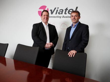 Former Microsoft Europe boss Paul Rellis takes helm of Digiweb and Viatel