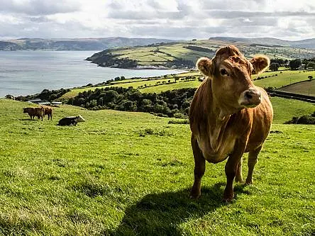 Tipperary now home to €28m SFI bioeconomy research campus