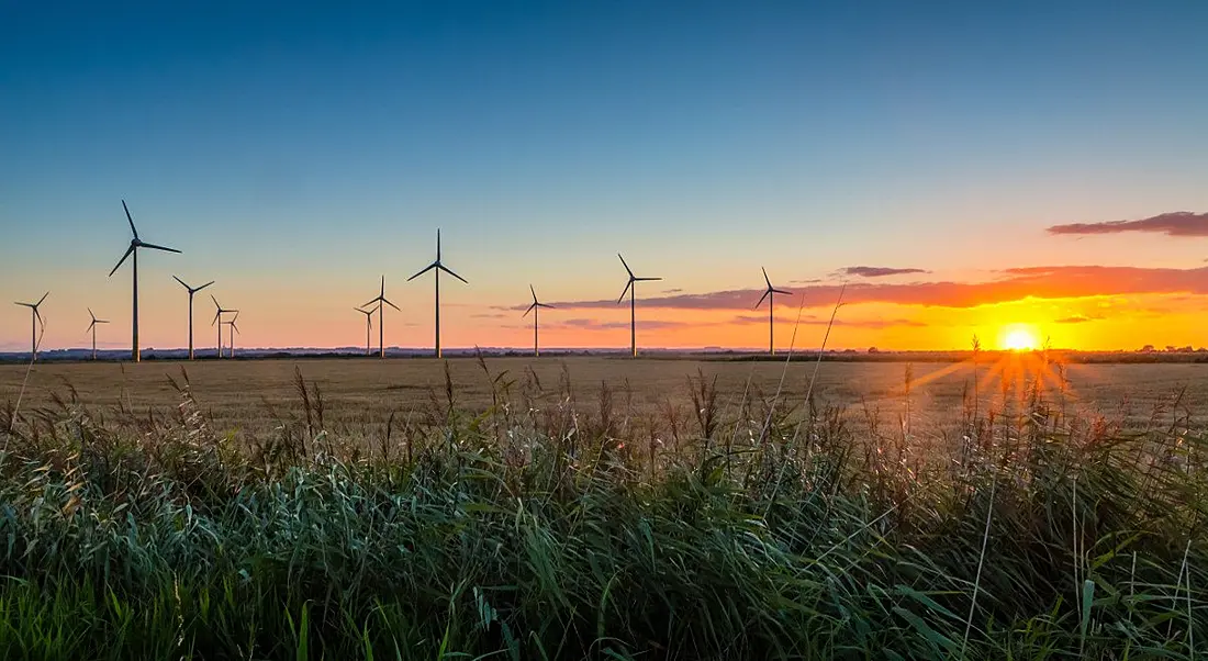 Sun rises over a field of wind turbines in England.