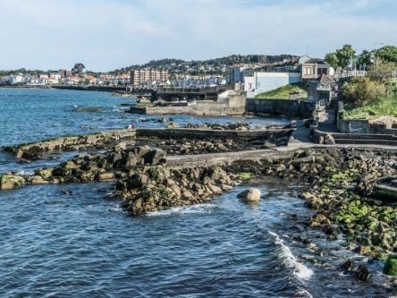 Dún Laoghaire innovation hub plans scrapped over licensing issues