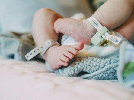 First baby born via dead donor uterus hailed a ‘medical milestone’