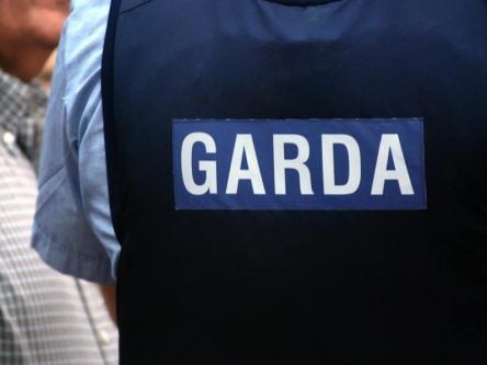 Report says Garda cybercrime strategy in need of major update