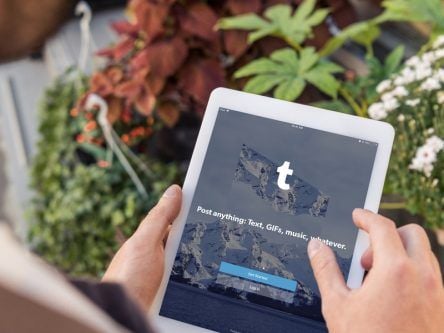 A ban on adult content could spell trouble for Tumblr