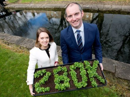 €280,000 up for grabs for start-ups in latest Seedcorn competition
