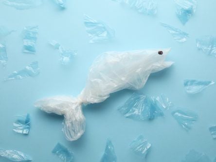 How a war against oceans of plastic waste is taking place in labs