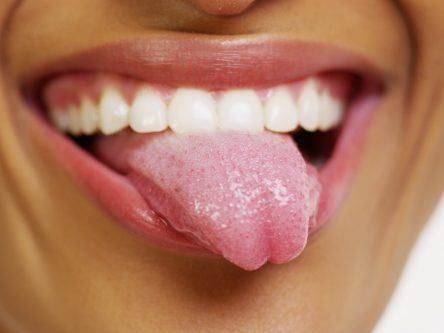 Discovery that the tongue can ‘smell’ challenges age-old senses theory