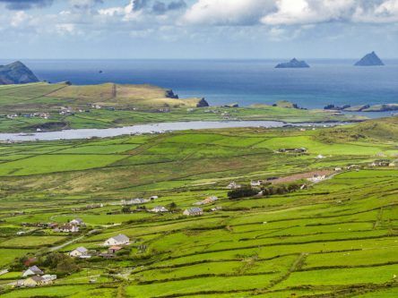 Fibre is key to the flexible future of work on this island