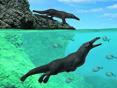 Truly bizarre ancient four-legged whale discovered off coast of Peru