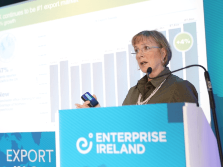Record-breaking exports for Enterprise Ireland clients