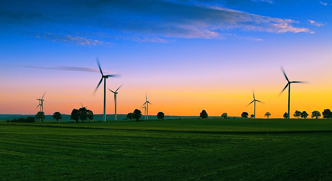 View of verdant field and clear sunset, the horizon dotted with wind turbines turning and generating renewable energy.