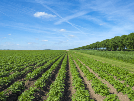Belgian agritech firm AgroSavfe closes €35m in Series C