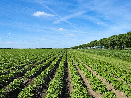 Belgian agritech firm AgroSavfe closes €35m in Series C