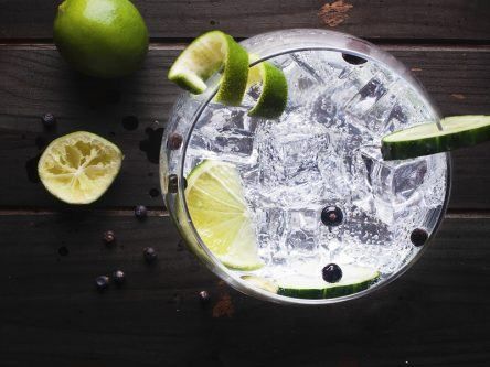 How a new gin made from peas could help offset your carbon footprint