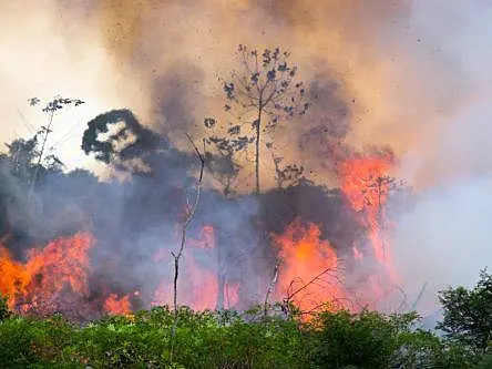 Out-of-control Amazon fires have surged since 2018