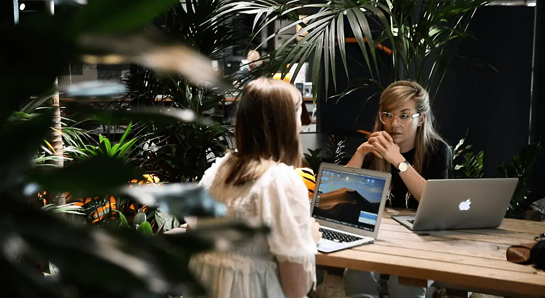 Two women sitting across from each other at a desk in Rothco offices, with a laptop open and plants surrounding them.