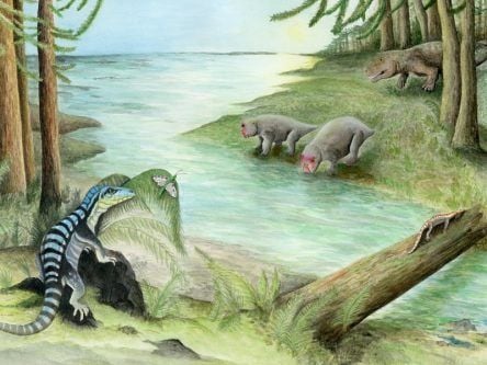 ‘Antarctic king’ reptile discovery sheds light on weird prehistoric South Pole