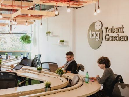 Caulfield, Liao and Ascani join Talent Garden Dublin’s VC-in-residence panel