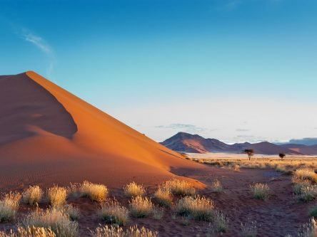 Familiar Irish sight unexpectedly discovered in Namibian desert