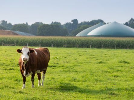 How can we turn agricultural waste into an energy source?