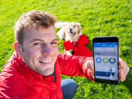 Devices for dogs: Vodafone Ireland launches pet tracker
