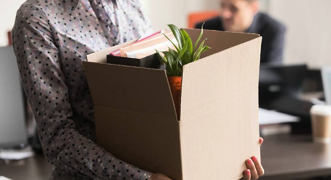 A close-up of someone holding a cardboard box with a plant and other office materials inside representing being let go.