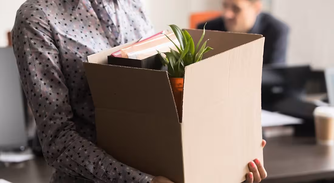 A close-up of someone holding a cardboard box with a plant and other office materials inside representing being let go.