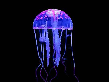 Discovery sheds light on jellyfish’s limb-growing superpower