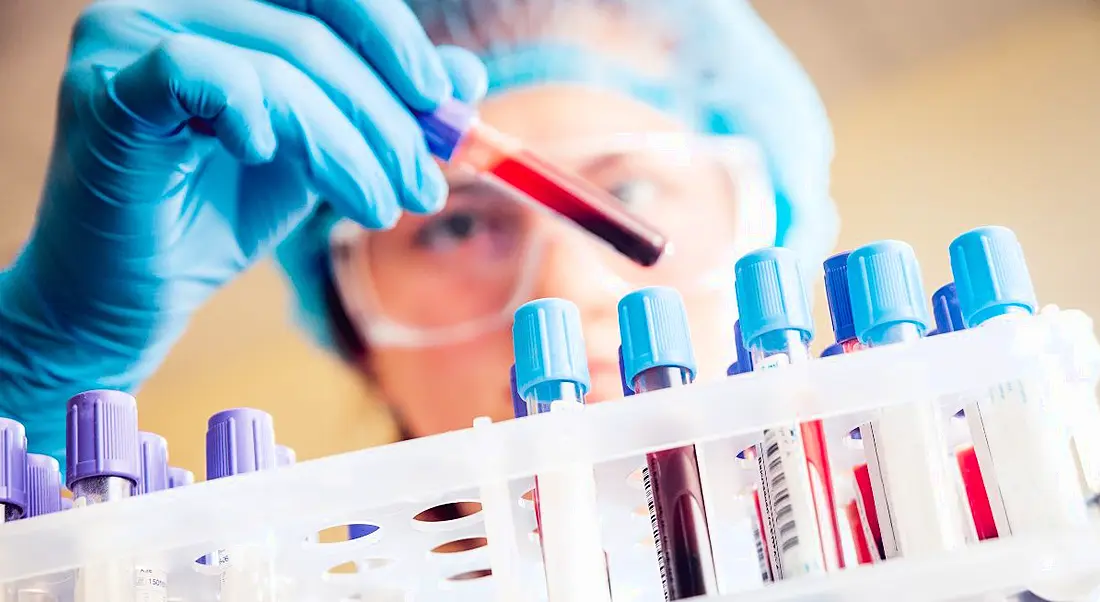 View of doctor in blue rubber gloves using dropper to add blood to test tube.