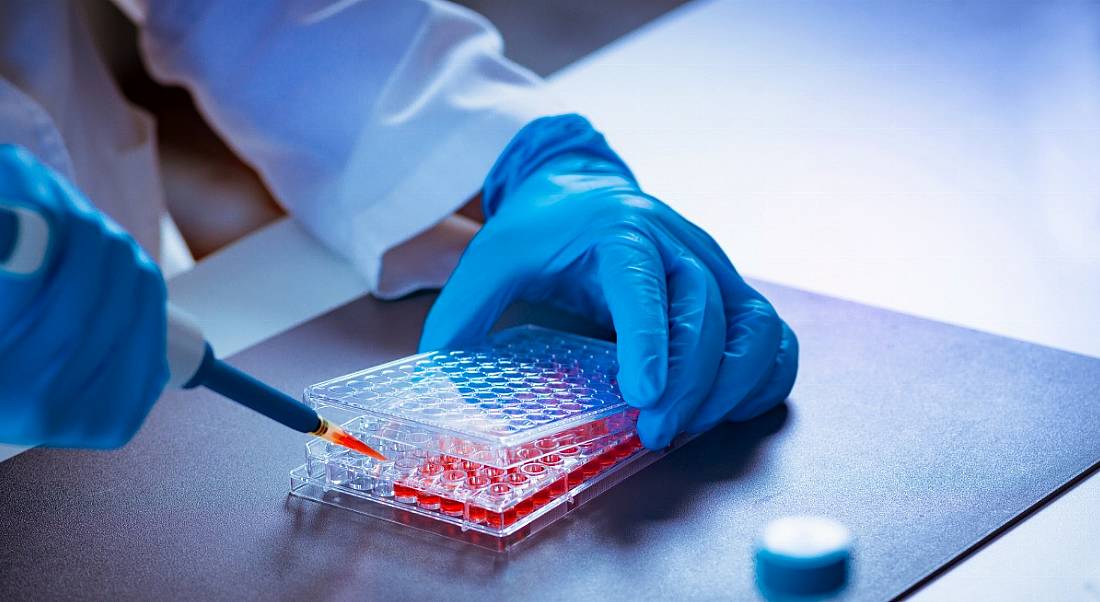 Scientist researching samples in laboratory wearing blue gloves.