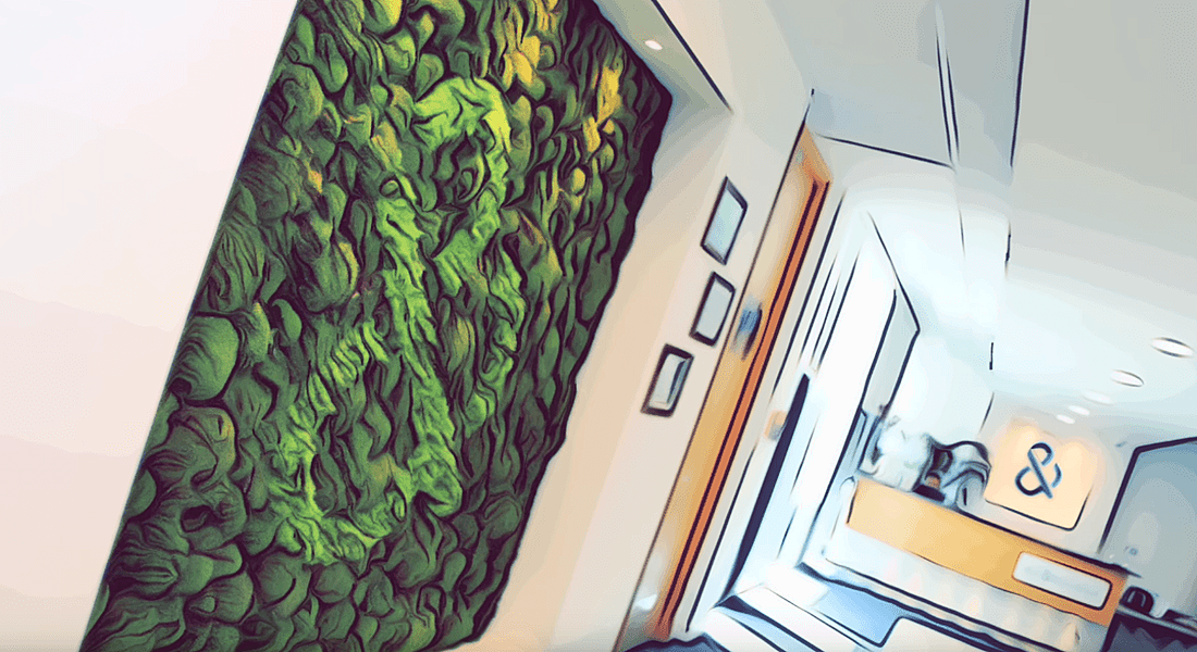 Stylistic photo of reception area at Dun & Bradstreet in Dublin, with green wall.