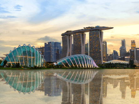 12 Singapore start-ups worth watching in 2020