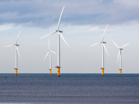 ESB takes 50pc stake in major Scottish windfarm Neart na Gaoithe