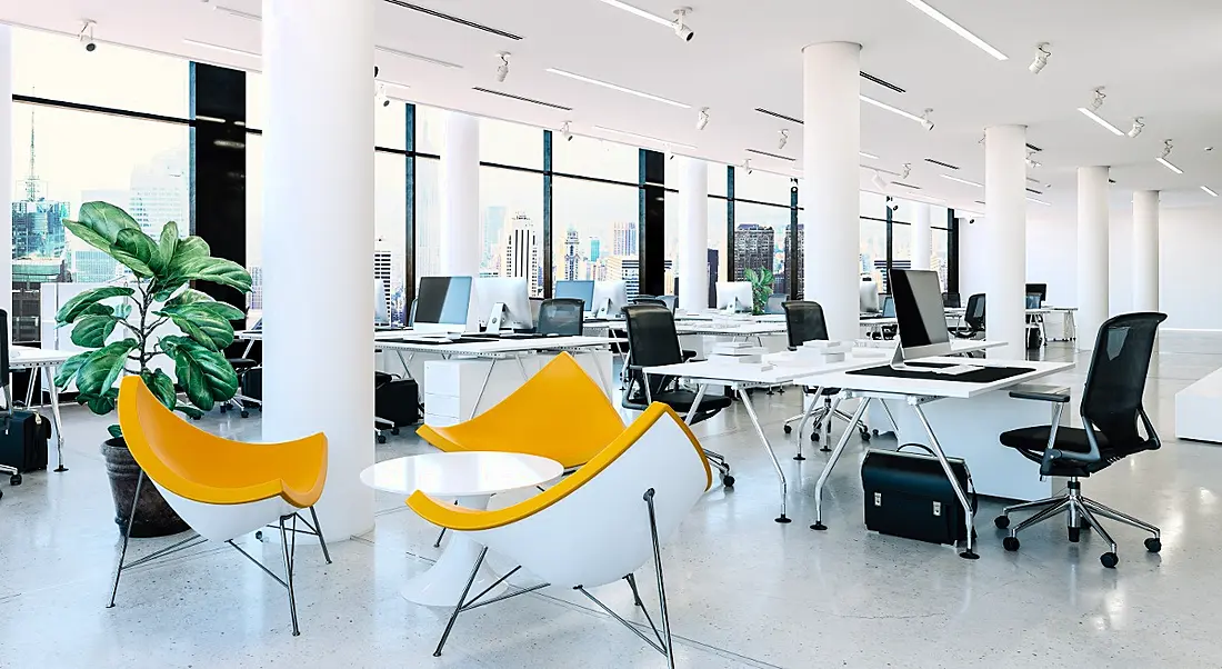 Modern office interior with natural light, plants and yellow chairs.